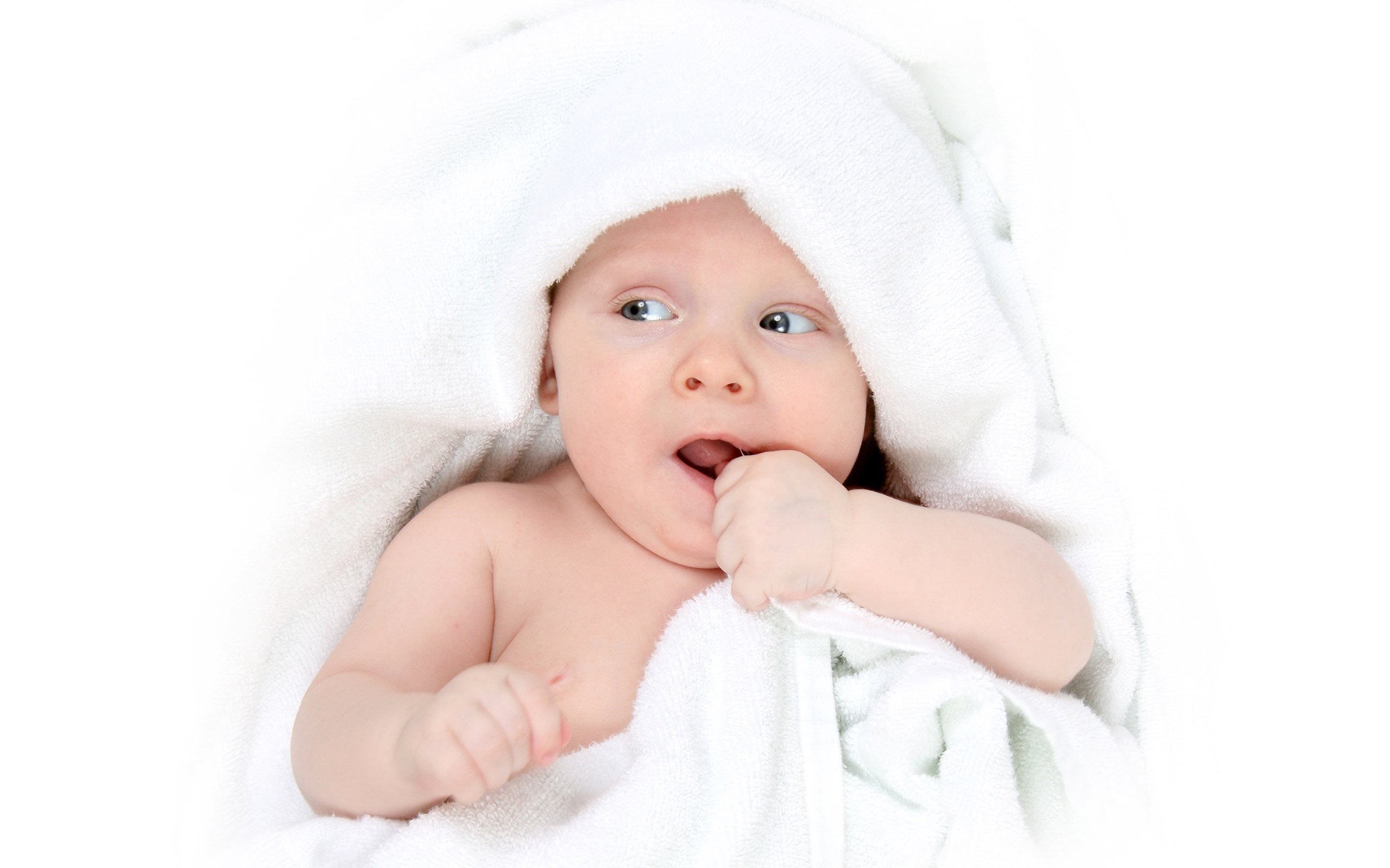 呼和浩特供卵医院一般做试管婴儿成功率多